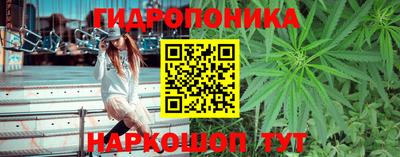 соль ск Кулебаки
