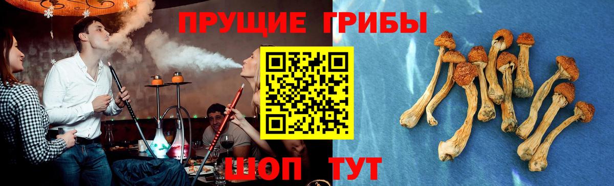 Кандалакша  Галлюциногенные грибы ЛСД  Вход с VPN  Псилоцибиновые грибы мухоморы 